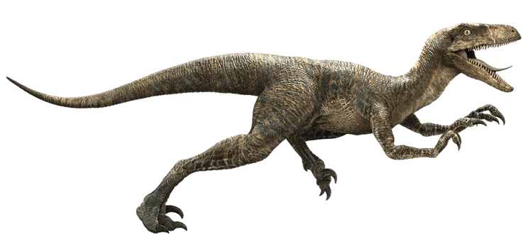 Velociraptor-detail-header.png