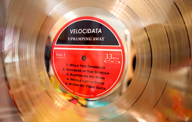 Velcoidata album (1)